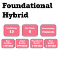 Foundational Hybrid Training Plan (Self-Guided)